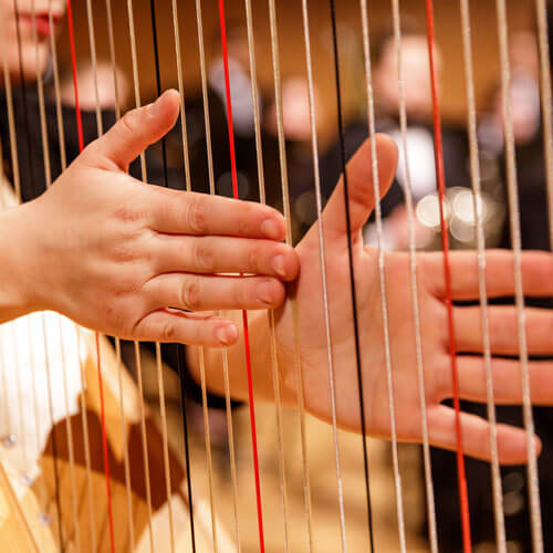 竖琴手用手拉着竖琴的琴弦。