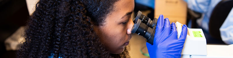 学生看着显微镜。