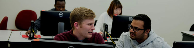 学生一起工作在一个计算机实验室教室。