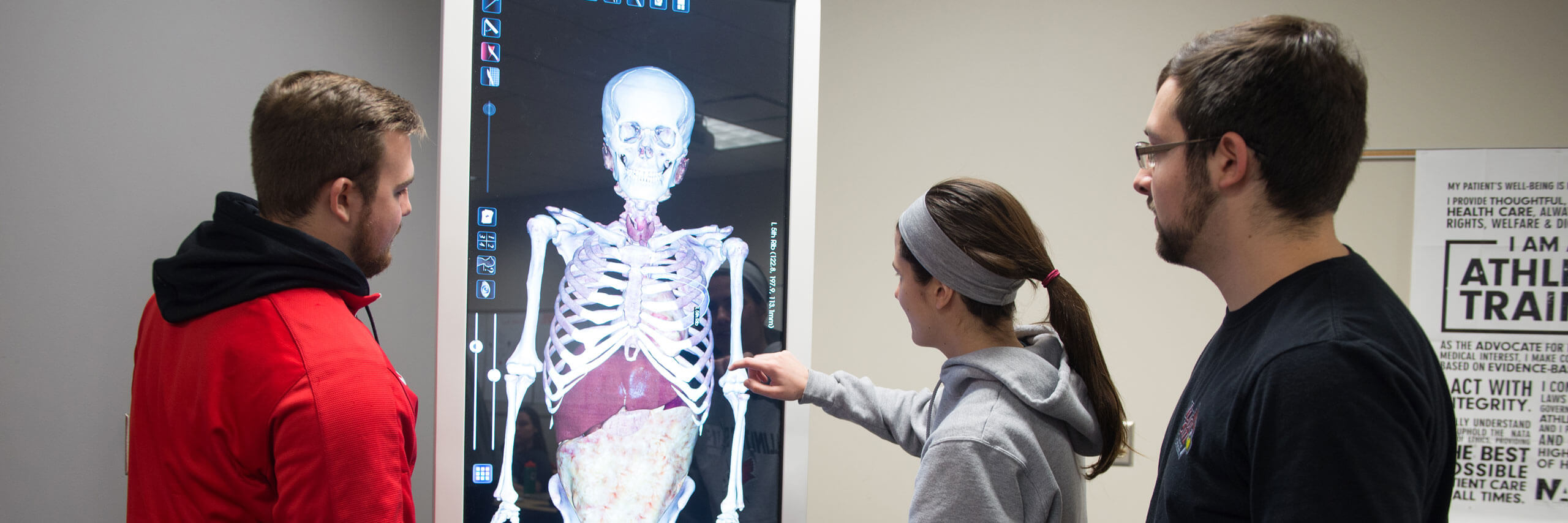 学生分析数字扫描一个人体。