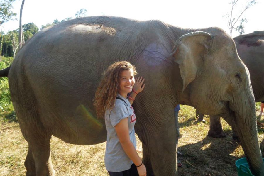 吉尔·泰扎克在东南亚国家柬埔寨的一个大象保护区帮忙。