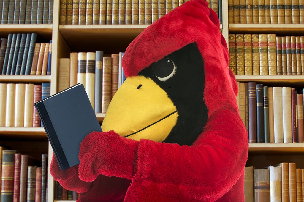 雷吉·红鸟在看书
