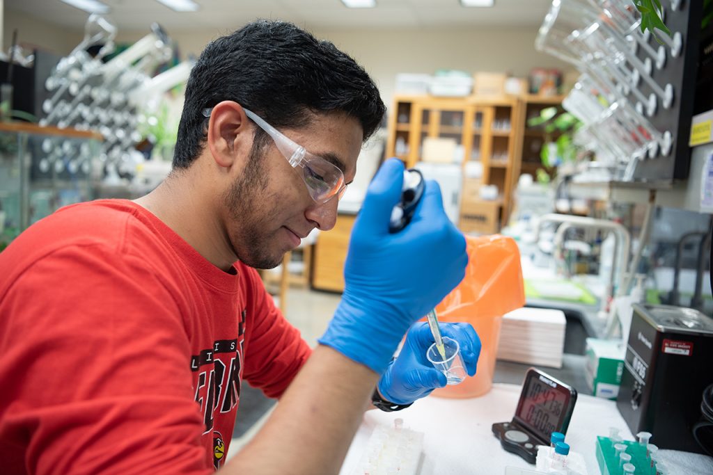 shaariq Zaman在实验室里，他在那里度过了一个夏天，研究寄生虫病利什曼原虫。