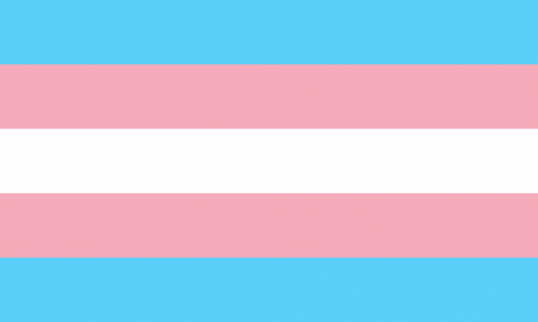 变性人骄傲的旗帜