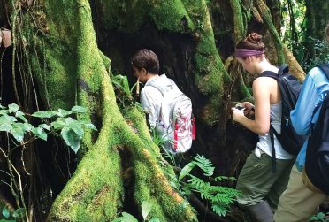 伊利诺斯州立大学校友杂志2014年春季封面上，学生们走进哥斯达黎加雨林一棵大树的洞里