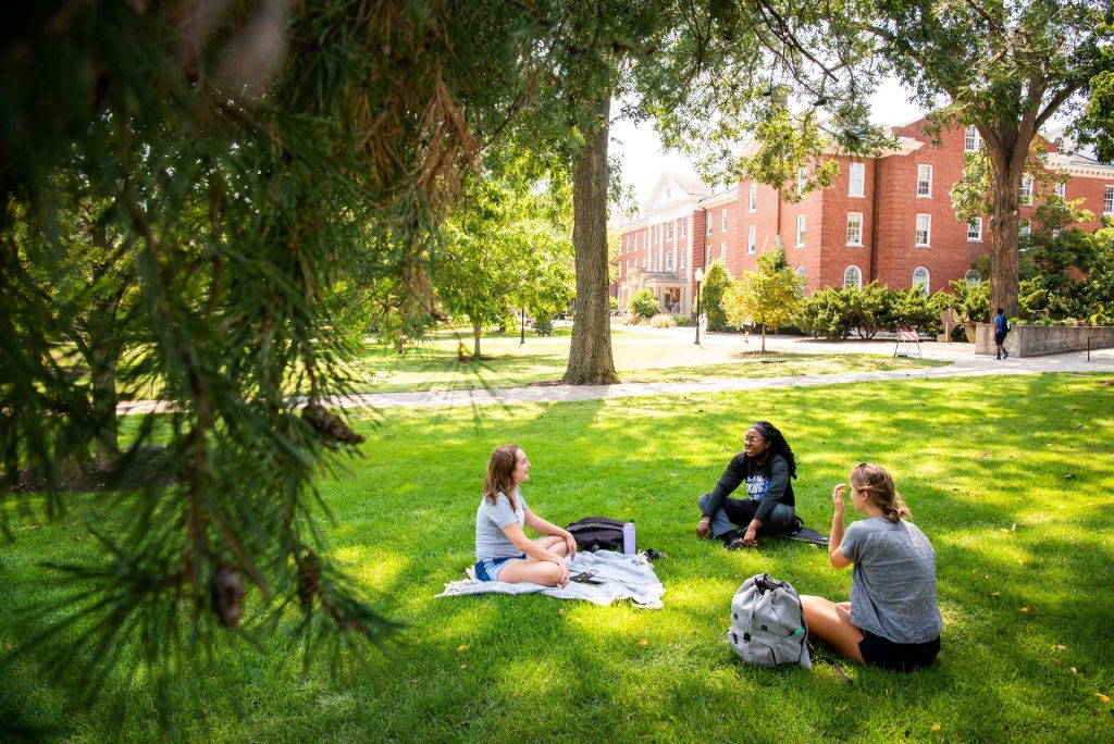 三个学生围成一圈坐在院子的绿草地上。费尔霍尔(Fell Hall)在背景中，松树树枝在前景的相框中蠕动。