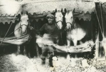黑白的照片微笑帽的男人拿着三匹马的缰绳站部分在一个帐篷的雨棚。划痕和点的损害引起的乳液出现在大部分的形象。)