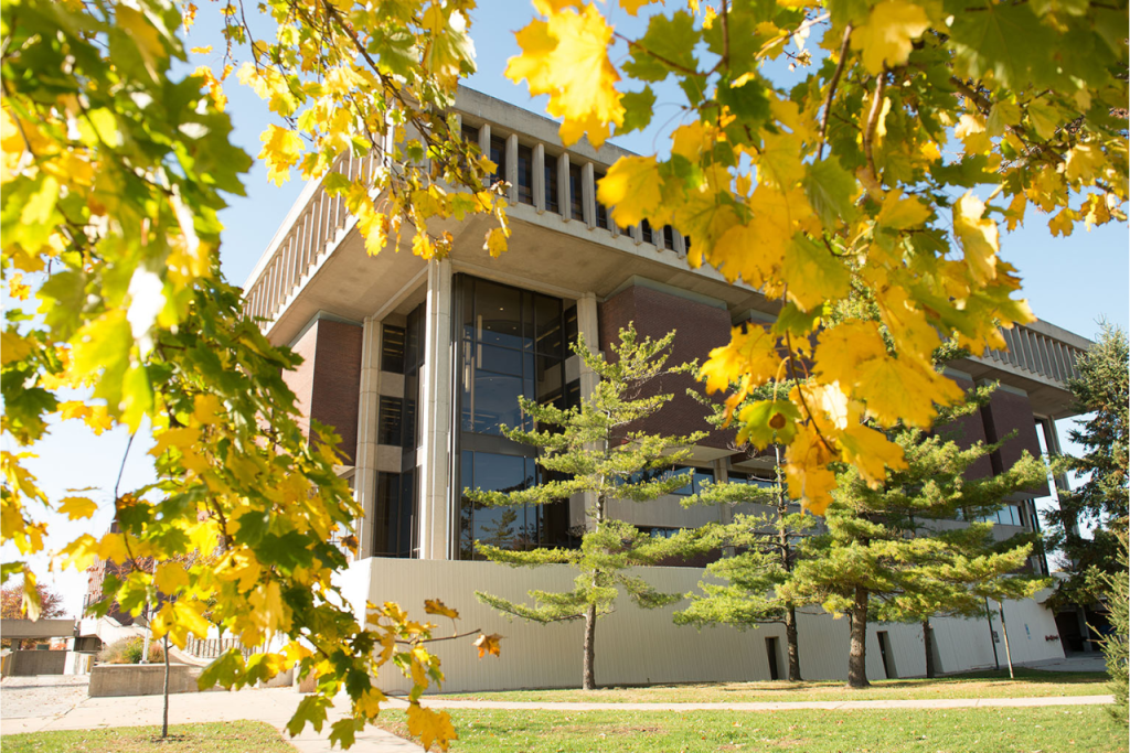米尔纳图书馆从外面一些树叶后面拍摄的照片