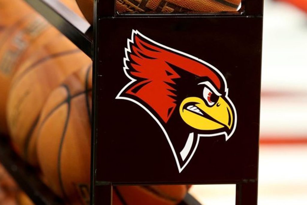 篮球架与红鸟头标志