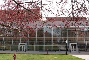 春天去表演艺术中心。这张照片是站在刚开始开花的树下拍的。