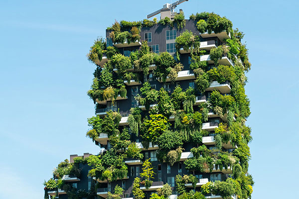 建筑的形象与绿色花园的阳台