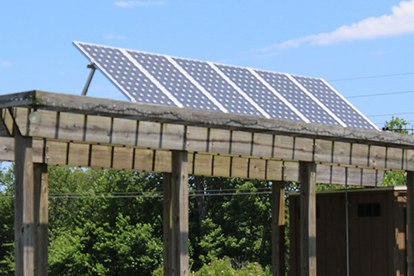 一块太阳能电池板安装在木制棚架的顶部。